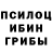 Галлюциногенные грибы Psilocybine cubensis Toraj Ajali