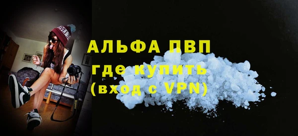 сатива Заволжье