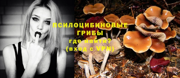 MESCALINE Заводоуковск