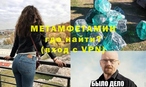 сатива Заволжье