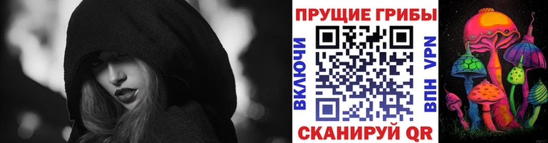 Купить  Анапа  Псилоцибиновые грибы Psilocybe 